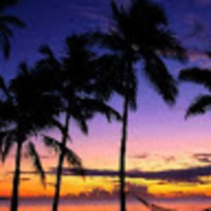 Meet your Posher, Alisandy